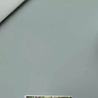 What Did the Koala Whisper to Kia? | Animated & Printable Kids Storybook